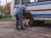 Пензенские  кинологи в Чечне нашли взрывчатку 
