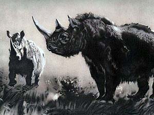 Так выглядел шерстистый носорог по мнению ученых