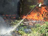 Благодаря слаженным действиям сотрудников МЧС и лесного хозяйства удалось локализовать пожар на стадии низового