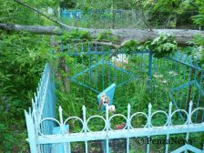 Жители Пензы возмущены состоянием Митрофаньевского кладбища