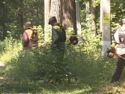 Санитарная обработка леса от клещей начата на Олимпийской аллее в Пензе