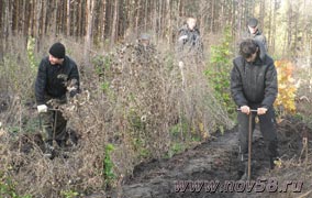 Жители поселений Камешкирского района вышли на посадку леса