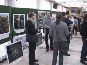 В Областной филармонии открылась международная фотовыставка «Золотая черепаха»   