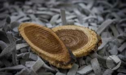 В Пензенской области задержан дровосек, использующий лесные деревья для строительства забора