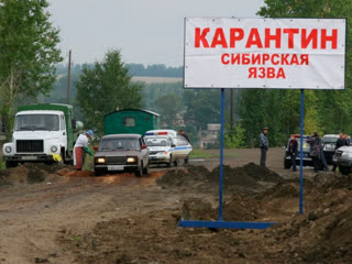 Из-за появления сибирской язвы в Саратовской области усилены меры защиты в Пензе