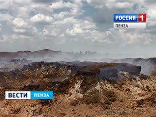 Жители Лопуховки жалуются на едкий запах от горящего навоза