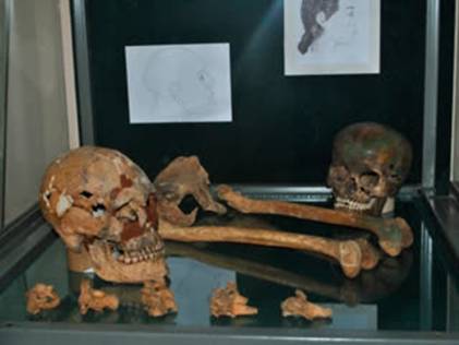 В пензенском музее представят украшения и черепа древней мордвы 