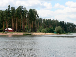 В реке Вядь на Светлой поляне запрещено купание