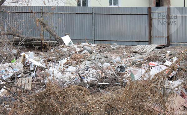 За несанкционированную свалку в Белинском районе «Чистый город» заплатит 25 тыс. рублей